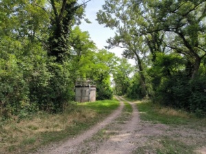 Une zone naturelle avec beaucoup d'arbres, des prairies, qui vit naturellement sans intervention humaine… sauf pour maintenir l'accès à tous les équipements